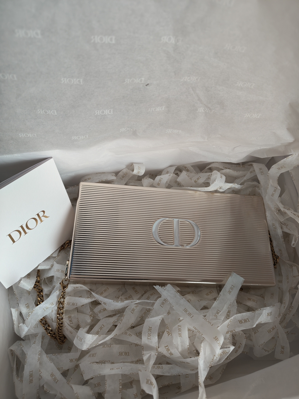 Dior Champagne Metallic Card & Key Holder with Gold Chain
